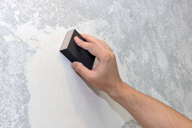 Best Real Estate Mold Inspection  in Buckingham, FL