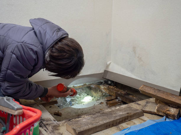 Best Comprehensive Air Testing for Mold Contaminants  in Buckingham, FL