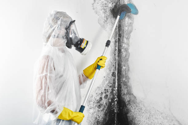 Best Asbestos and Lead Testing During Mold Inspection  in Buckingham, FL