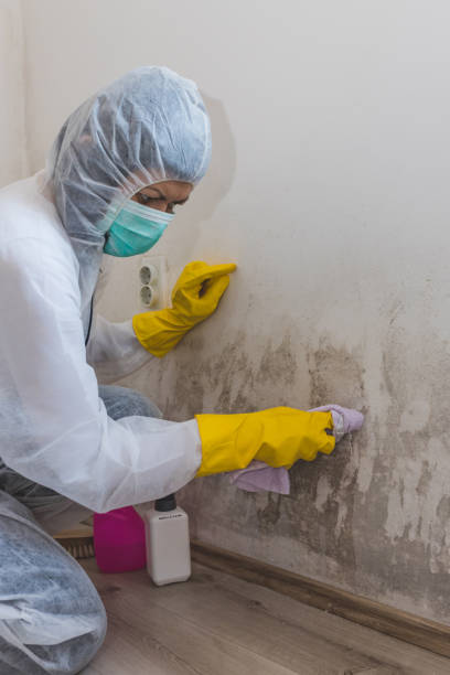Best HVAC Mold Inspection and Cleaning  in Buckingham, FL