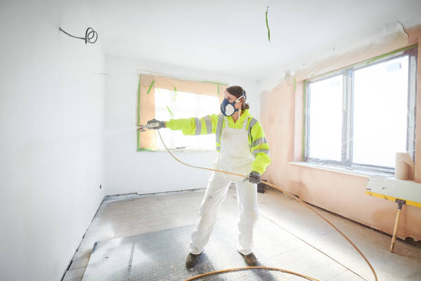 Buckingham, FL Mold Removal Company