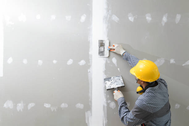 Best Air Quality Testing for Mold Spores  in Buckingham, FL