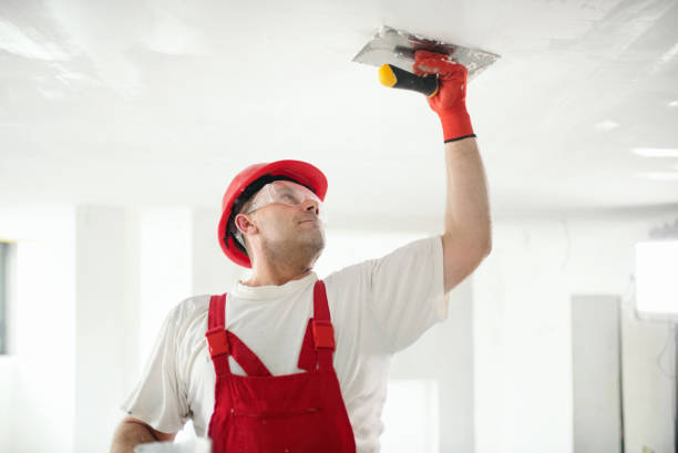 Best Black Mold Removal  in Buckingham, FL