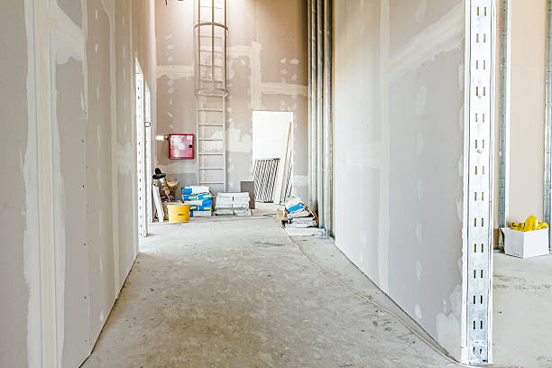 Best Basement Mold Removal  in Buckingham, FL
