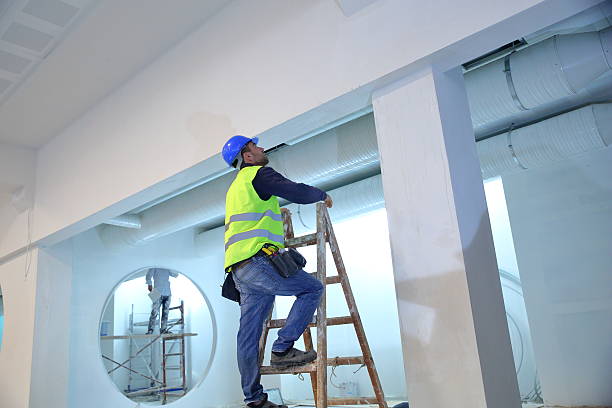 Best Air Quality Testing for Mold Spores  in Buckingham, FL