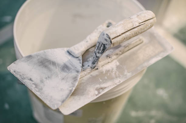 Environmental Consulting for Mold Prevention in Buckingham, FL